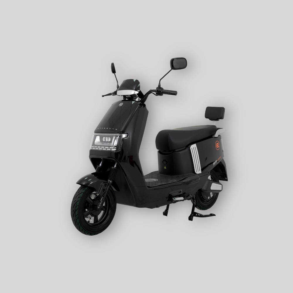 Saige N300